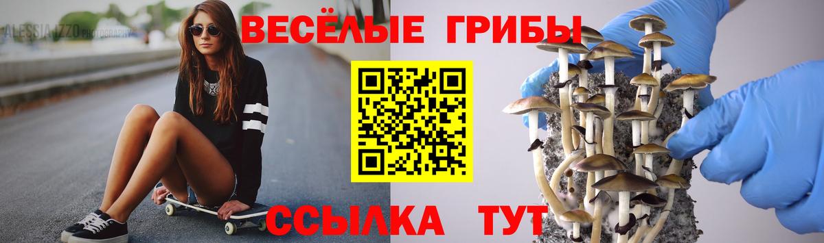 Галлюциногенные грибы Psilocybine cubensis  Вход с VPN  Губкин 