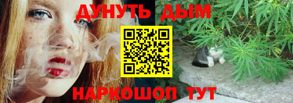 Псилоцибиновые грибы Губкин